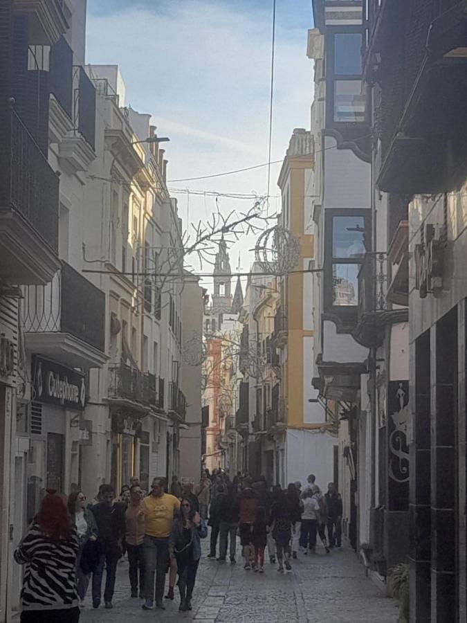 Behouse Cuna Sevilla